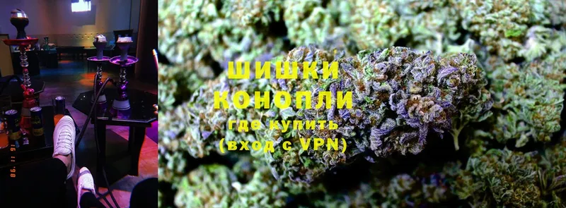 ссылка на мегу как войти  Данилов  Канабис OG Kush 